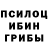 Псилоцибиновые грибы Psilocybe Mr Kerby