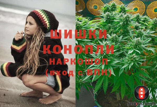 тгк Магас