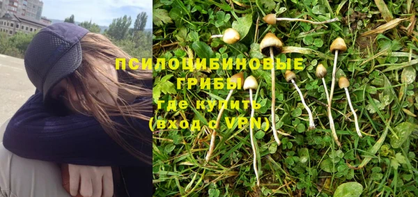 марки nbome Ладушкин